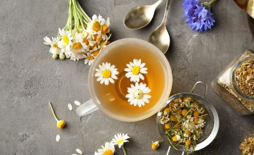 Trà hoa cúc là trà thảo mộc thải độc tốt
